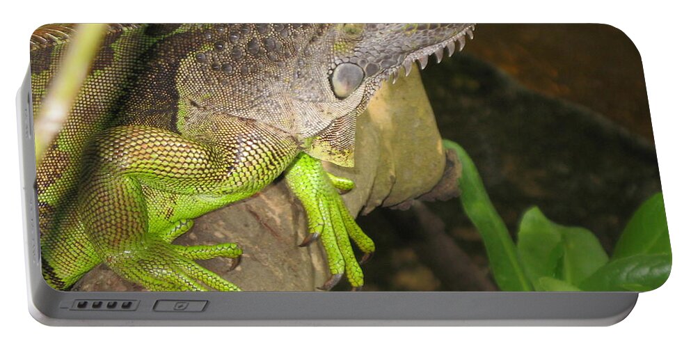 Iguana Portable Battery Charger featuring the photograph Iguana - A Special Garden Guest by Christiane Schulze Art And Photography