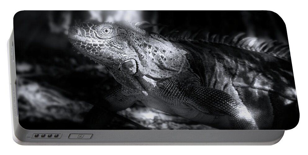 Iguana Portable Battery Charger featuring the photograph Iguana in the Forest by Mark Andrew Thomas