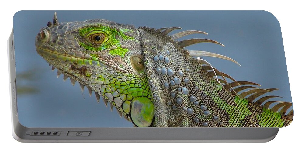 Iguana Portable Battery Charger featuring the photograph Iguana Portrait by Carl Moore