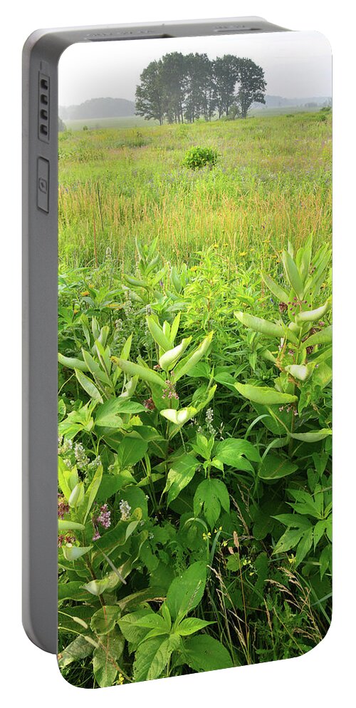 Black Eyed Susan Portable Battery Charger featuring the photograph Illinois Native Prairie by Ray Mathis