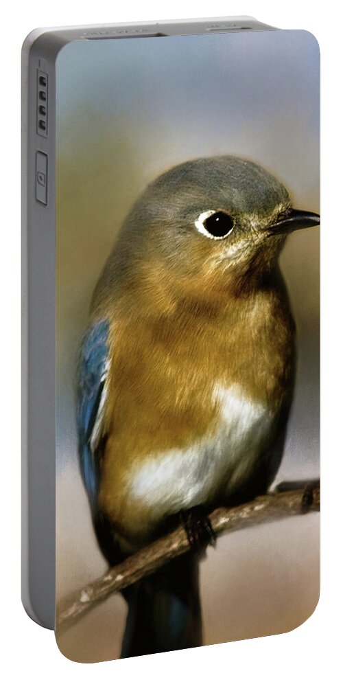 Animal Portable Battery Charger featuring the photograph I'm a Bluebird by Lana Trussell