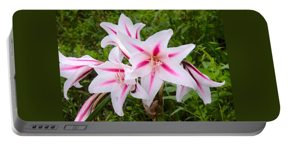 Flower Portable Battery Charger featuring the photograph I'm a star by James Smullins