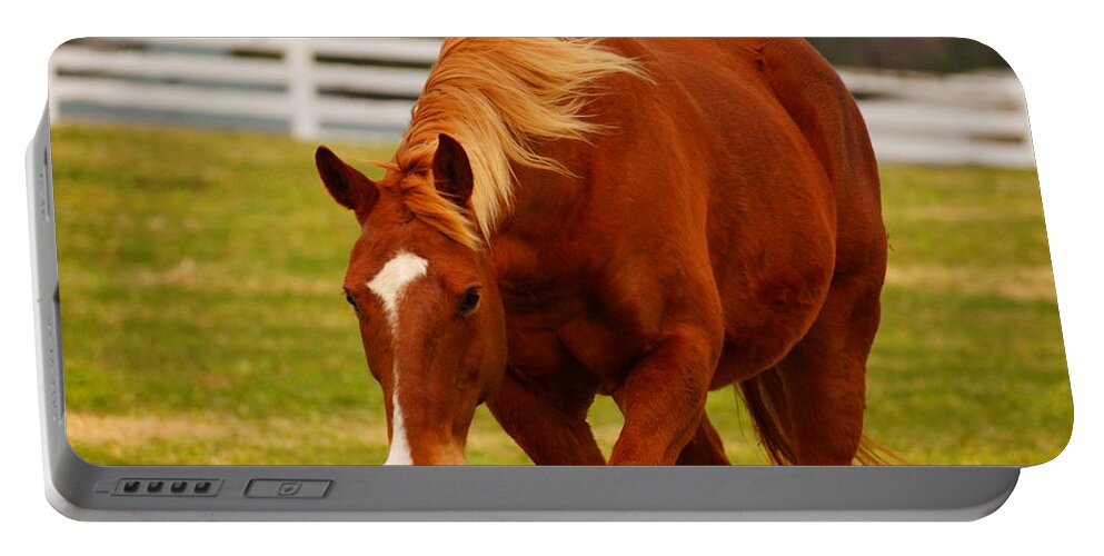 Horse Portable Battery Charger featuring the photograph I'm Coming by Beth Collins