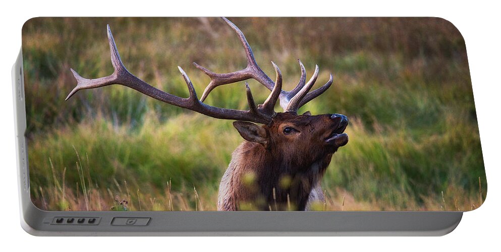 Elk Portable Battery Charger featuring the photograph I'm talking to you. by Darren White