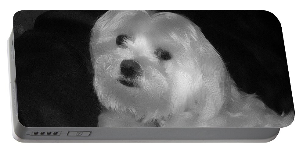 Dog Portable Battery Charger featuring the digital art I'm The One For You by Kathy Tarochione