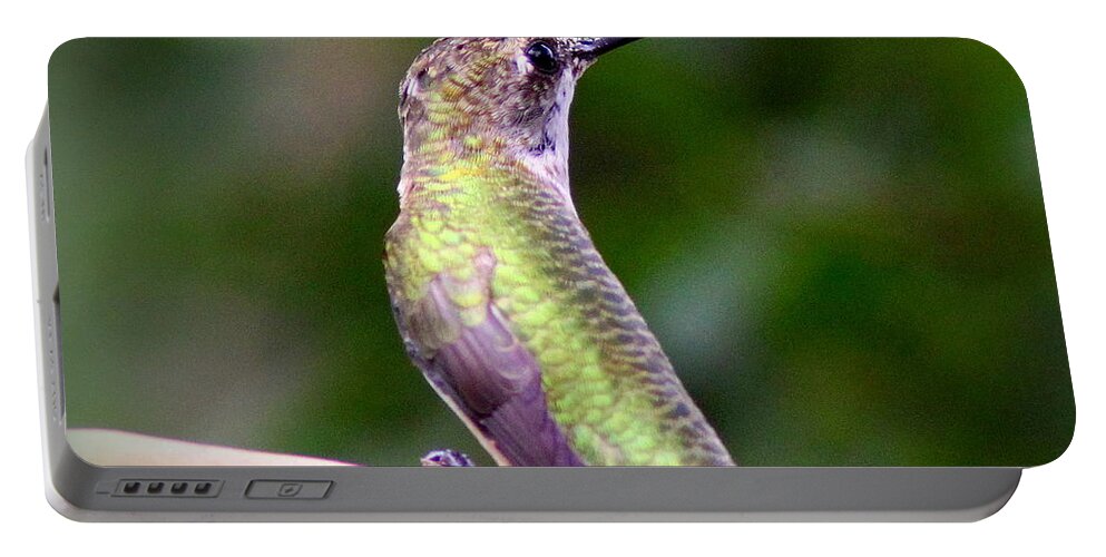  Ruby-throated Hummingbird Portable Battery Charger featuring the photograph IMG_0909-006 - Ruby-throated Hummingbird by Travis Truelove