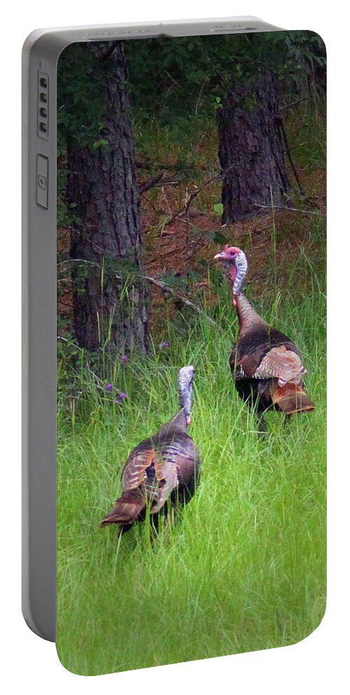 Wild Turkey Portable Battery Charger featuring the photograph IMG_1140-004 - Wild Turkey by Travis Truelove
