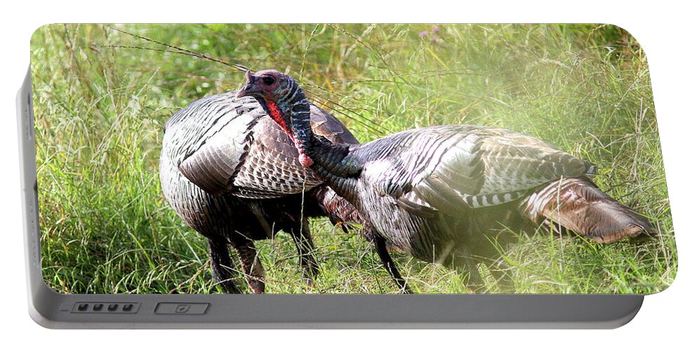 Wild Turkey Portable Battery Charger featuring the photograph IMG_8760 - Wild Turkey by Travis Truelove