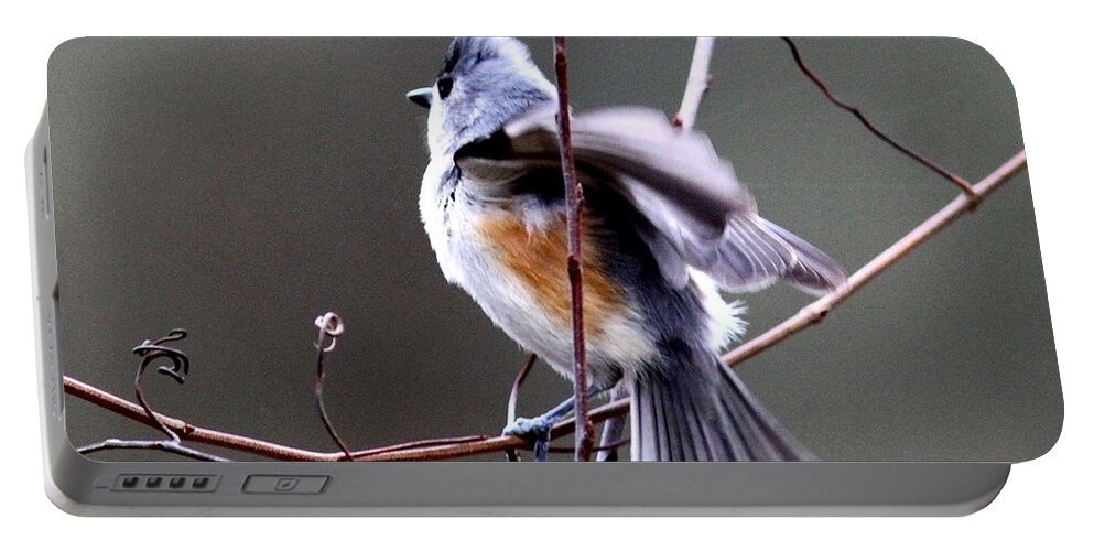 Tufted Titmouse Portable Battery Charger featuring the photograph IMG_9404-002 - Tufted Titmouse by Travis Truelove
