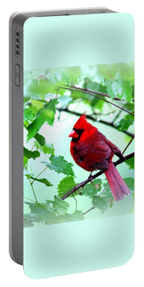 Northern Cardinal Portable Battery Charger featuring the photograph IMG_9514 - Northern Cardinal by Travis Truelove