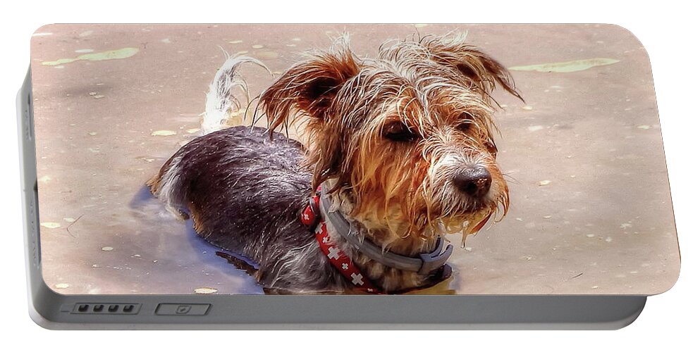 Dog Portable Battery Charger featuring the photograph In At The Deep End by Jeff Townsend