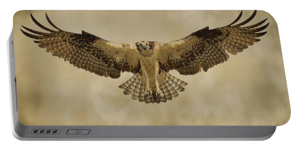 Osprey Portable Battery Charger featuring the photograph In Coming by Steve McKinzie