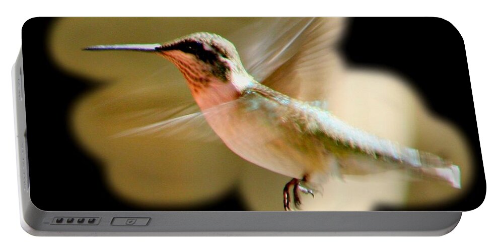 Bird Portable Battery Charger featuring the photograph In Flight by Barbara S Nickerson