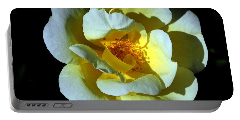 Rose Portable Battery Charger featuring the photograph In Light by Lynda Lehmann
