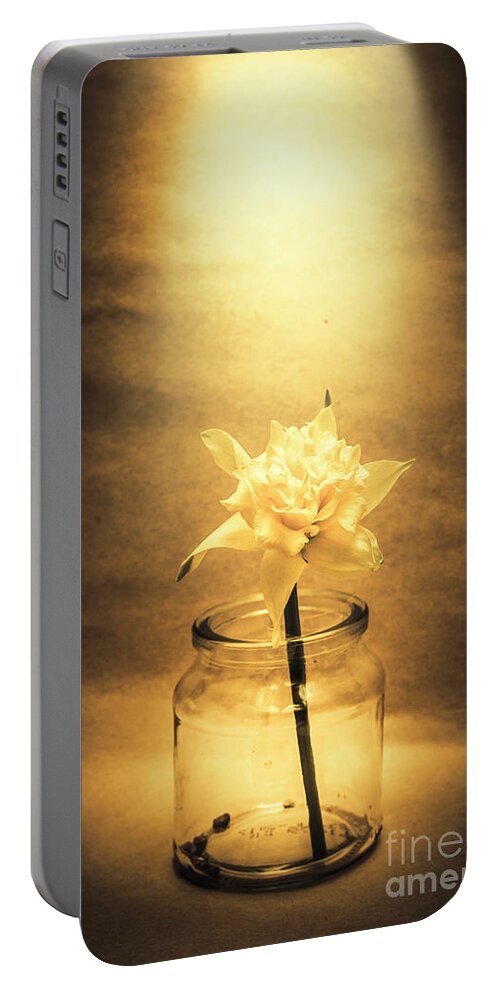 Flower Portable Battery Charger featuring the photograph In light of nostalgia by Jorgo Photography