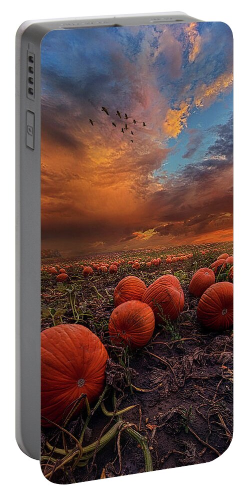 Summer Portable Battery Charger featuring the photograph In Search Of The Great Pumpkin by Phil Koch