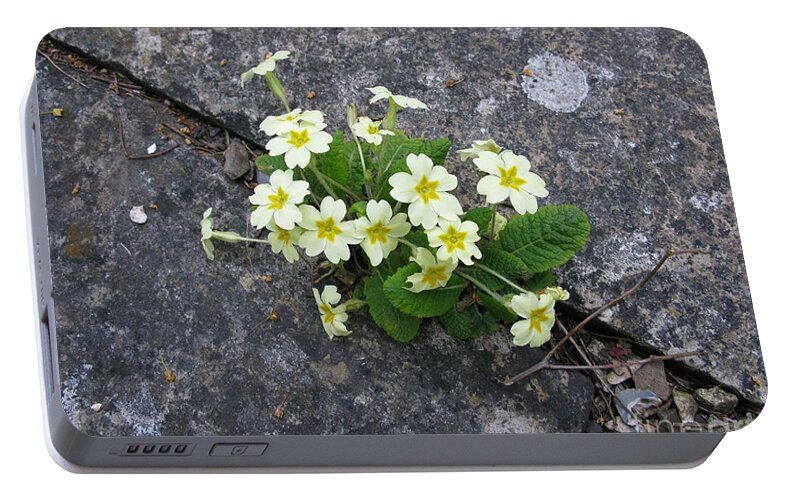 Primrose Portable Battery Charger featuring the photograph In the Garden Path by Ann Horn