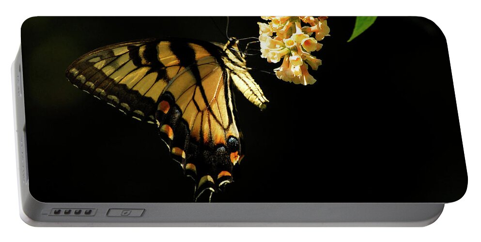 Butterfly Portable Battery Charger featuring the photograph In the Light by Elsa Santoro