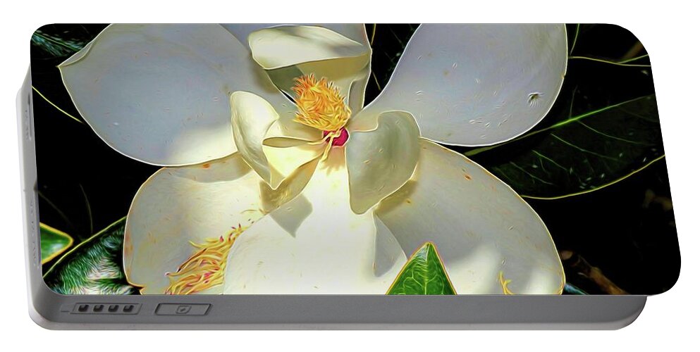 Flower Photography Portable Battery Charger featuring the photograph In the Shade by Diana Mary Sharpton