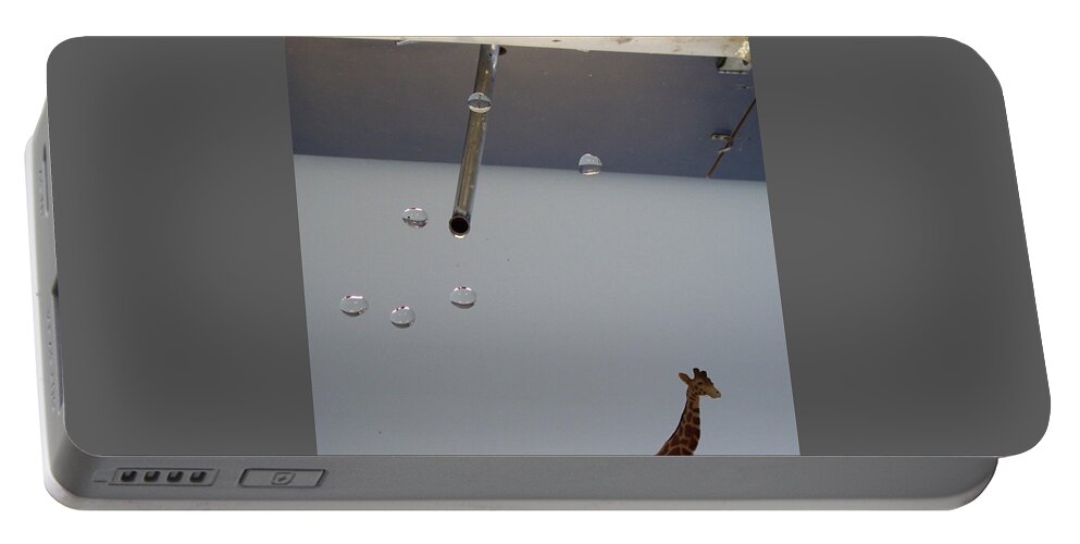Giraffe Portable Battery Charger featuring the photograph In the Sink by Michelle Miron-Rebbe