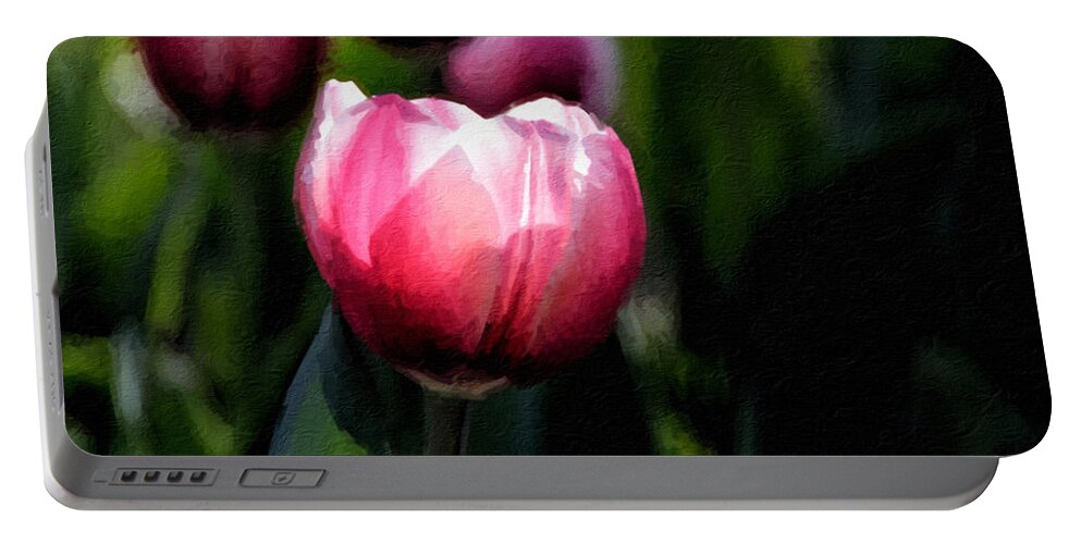 Tulip Portable Battery Charger featuring the photograph In the Spotlight by Andrea Platt