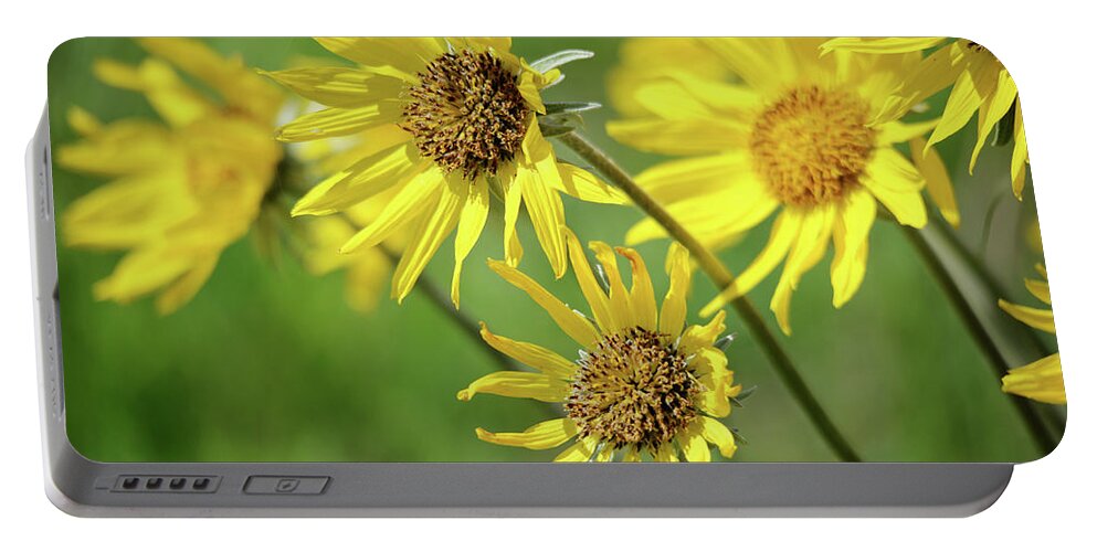 Yellow Portable Battery Charger featuring the photograph In the Spring Wind by Whispering Peaks Photography