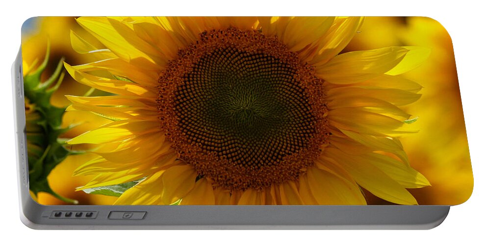 Sunflower Portable Battery Charger featuring the photograph In the sun by Heather King