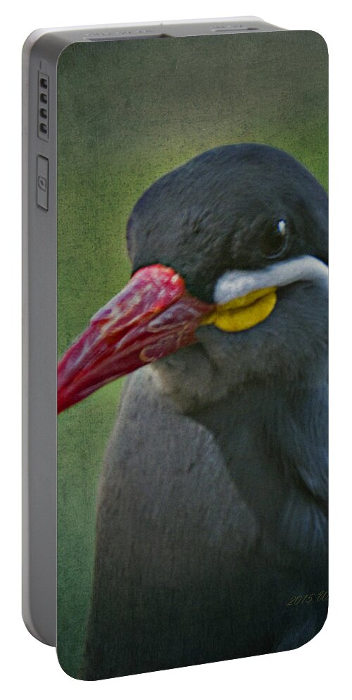 Inca Tern Portable Battery Charger featuring the photograph Inca Tern _ 1a by Walter Herrit