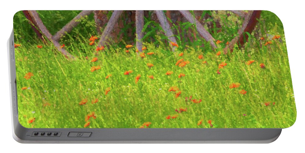 East Dover Vermont Portable Battery Charger featuring the photograph Indian Paintbrush Flowers by Tom Singleton