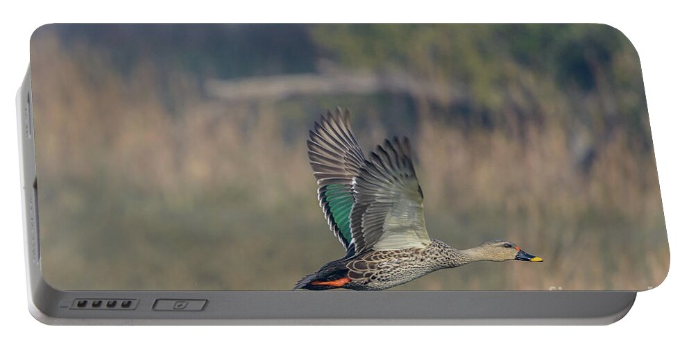 Bird Portable Battery Charger featuring the photograph Indian Spot-billed Duck 03 by Werner Padarin
