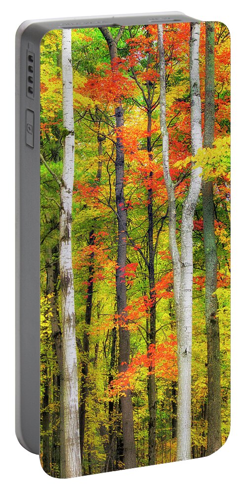 Fall Trees Portable Battery Charger featuring the photograph Indian Summer by Christina Rollo