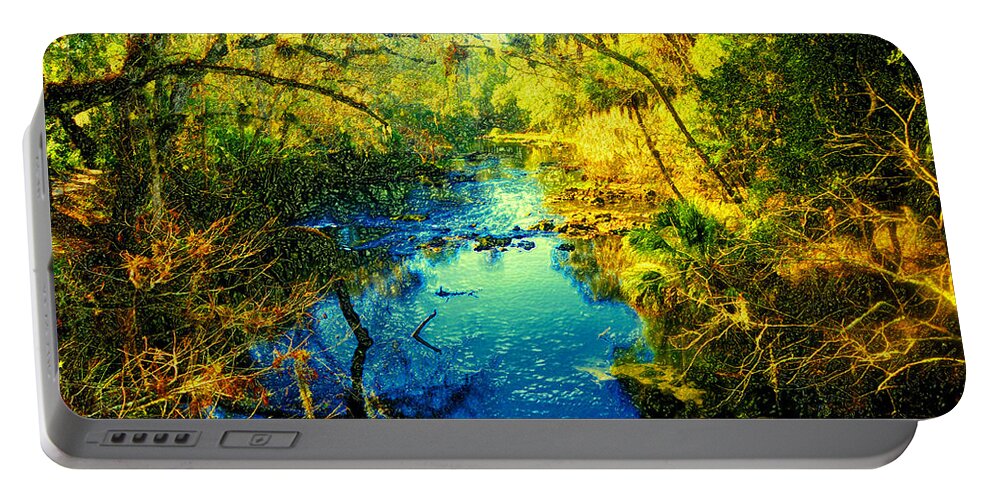 Hillsborough River Florida Portable Battery Charger featuring the painting Indian trail along the Hillsborough by David Lee Thompson