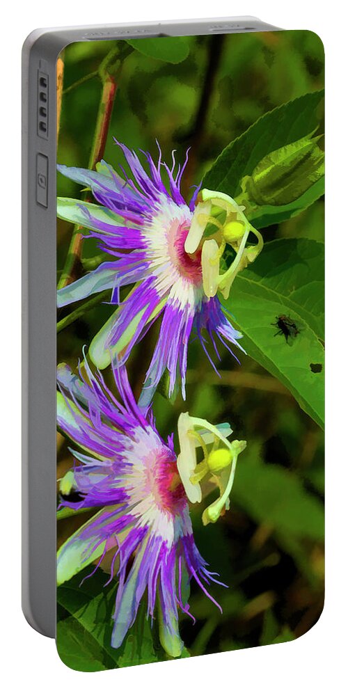 Passiflora Incarnata Portable Battery Charger featuring the photograph Inexplicable and Strange by Kathy Clark