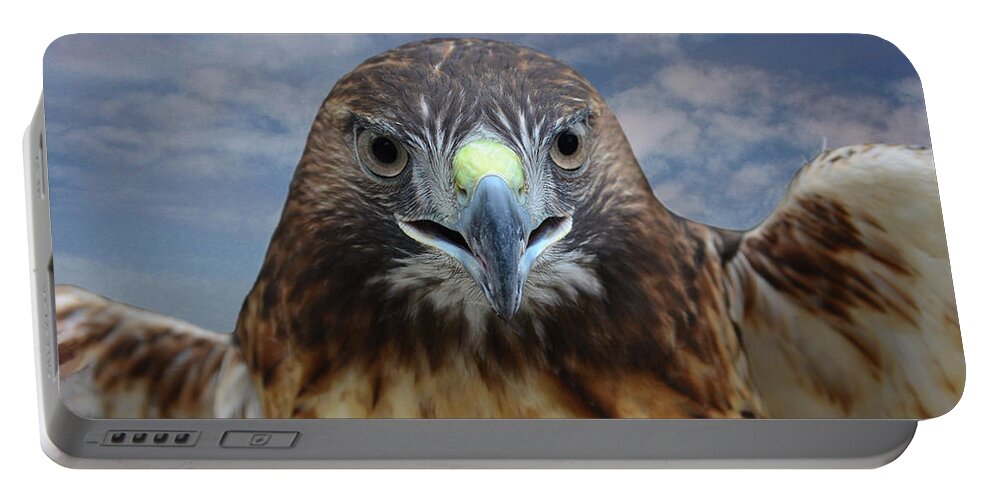 Red Tailed Hawk Portable Battery Charger featuring the photograph Inflight Frontal Red Tailed Hawk by Sandi OReilly