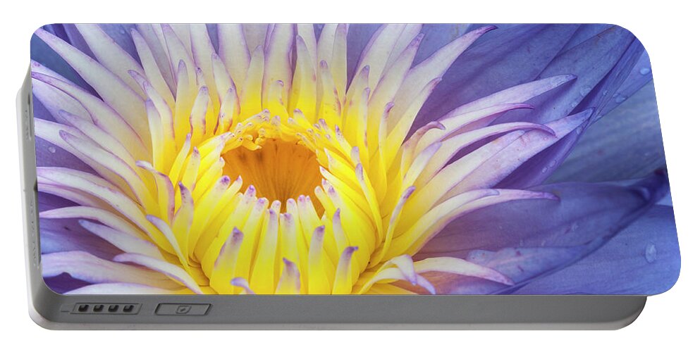 Waterlily Portable Battery Charger featuring the photograph Perfect symmetry of a blossom by Usha Peddamatham
