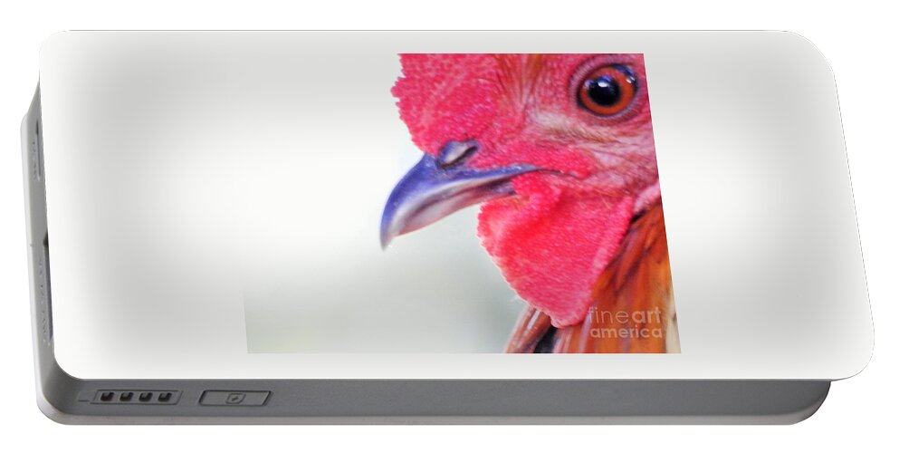 Rooster Portable Battery Charger featuring the photograph Instinctive Survival by Jan Gelders