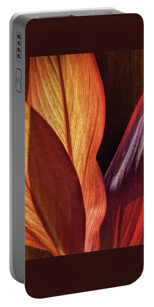 Tropical Leaves Portable Battery Charger featuring the photograph Interweaving Leaves I by Leda Robertson