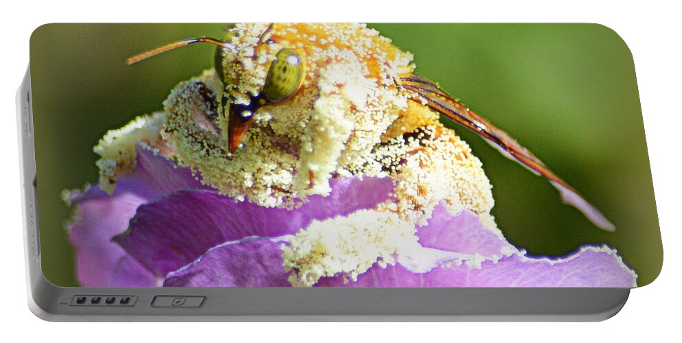 Insects Portable Battery Charger featuring the photograph Into Something Good by AJ Schibig