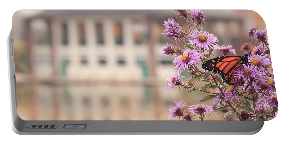 Monarch Portable Battery Charger featuring the photograph Into the Asters by Viviana Nadowski