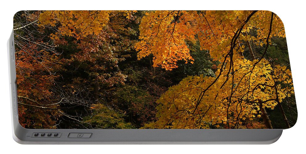 Autumn Portable Battery Charger featuring the photograph Into the Fall by Michael McGowan