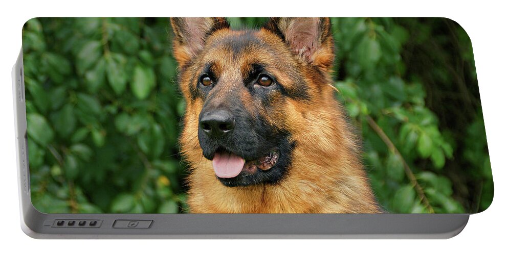 German Shepherd Portable Battery Charger featuring the photograph Intriguing Ida by Sandy Keeton