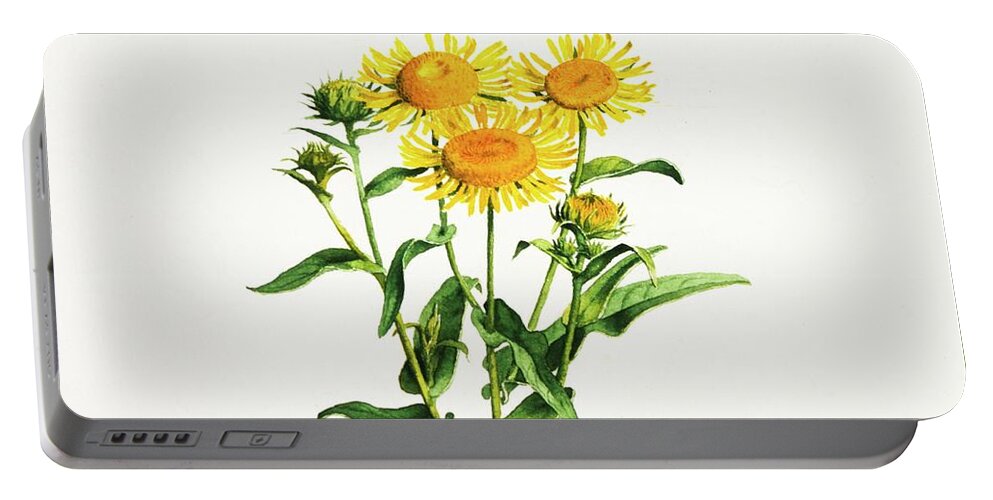 Inula Portable Battery Charger featuring the painting Inula by Attila Meszlenyi