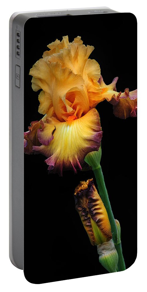 Iris Portable Battery Charger featuring the photograph Iris Beauty by Dave Mills