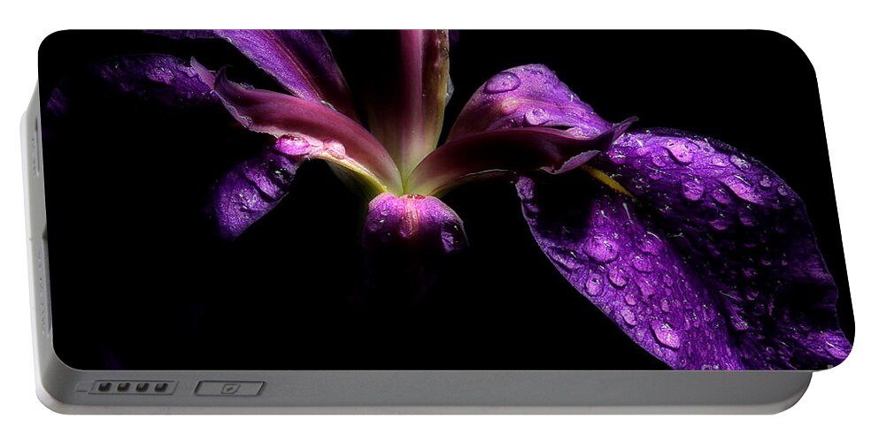 Iris Flower Portable Battery Charger featuring the photograph Iris Bloom by Michael Eingle