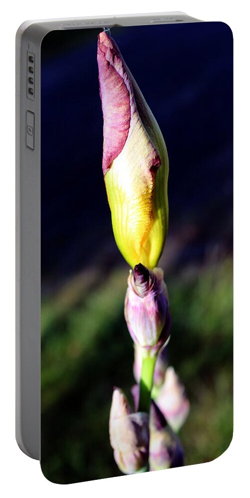 Iris Portable Battery Charger featuring the photograph Iris bud by Jean Evans