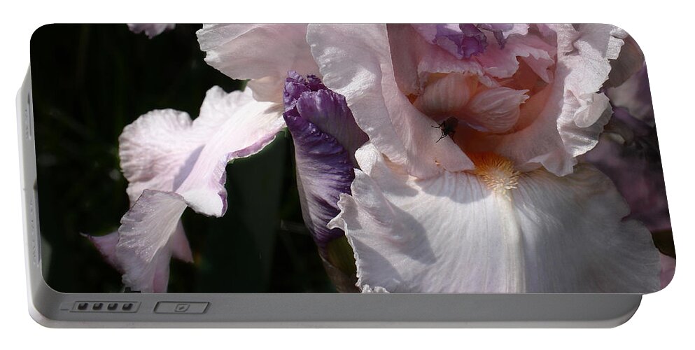 Flower Portable Battery Charger featuring the photograph Iris Lace by Steve Karol