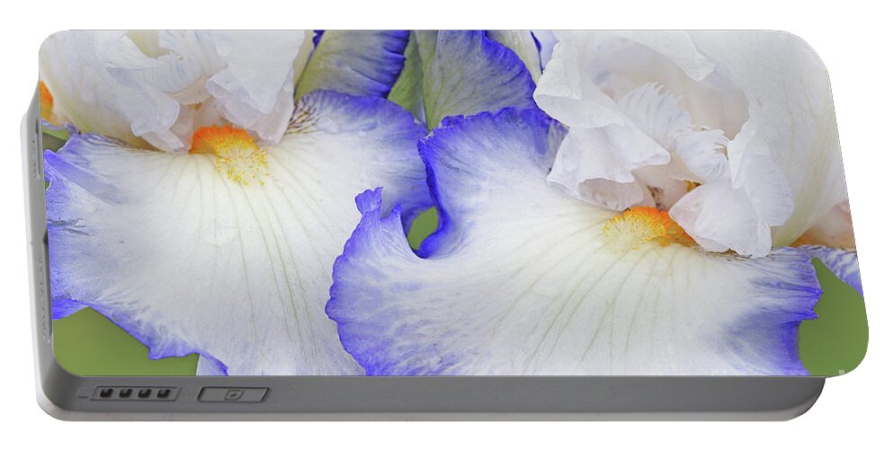 Iris Portable Battery Charger featuring the photograph Iris Queen's Circle by Regina Geoghan