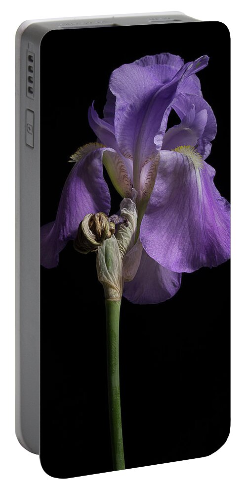 Purple Iris Portable Battery Charger featuring the photograph Iris Series 1 by Mike Eingle