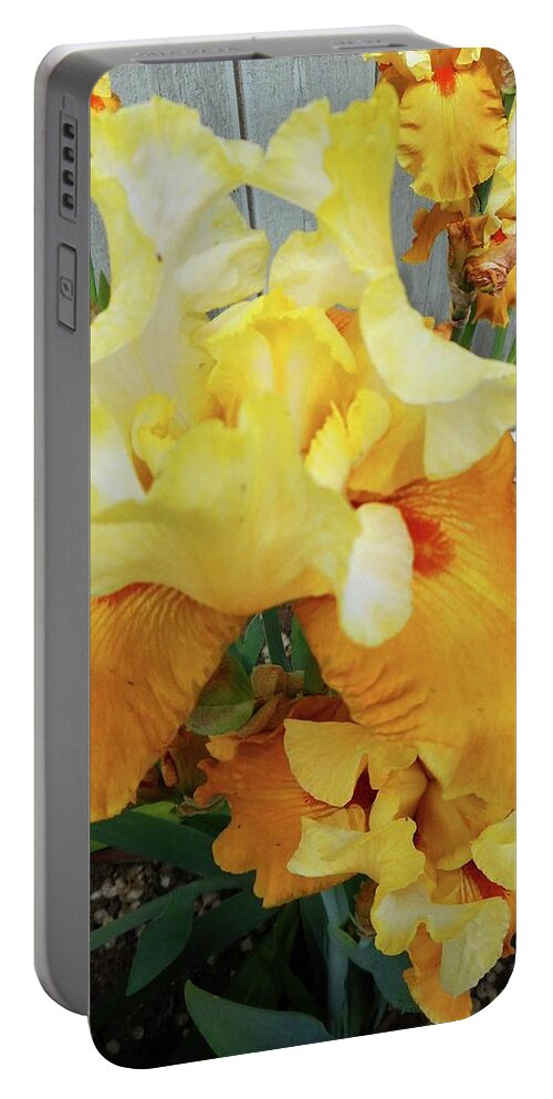 Iris Portable Battery Charger featuring the photograph Irises 13 by Ron Kandt
