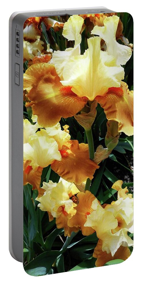 Iris Portable Battery Charger featuring the photograph Irises 23 by Ron Kandt